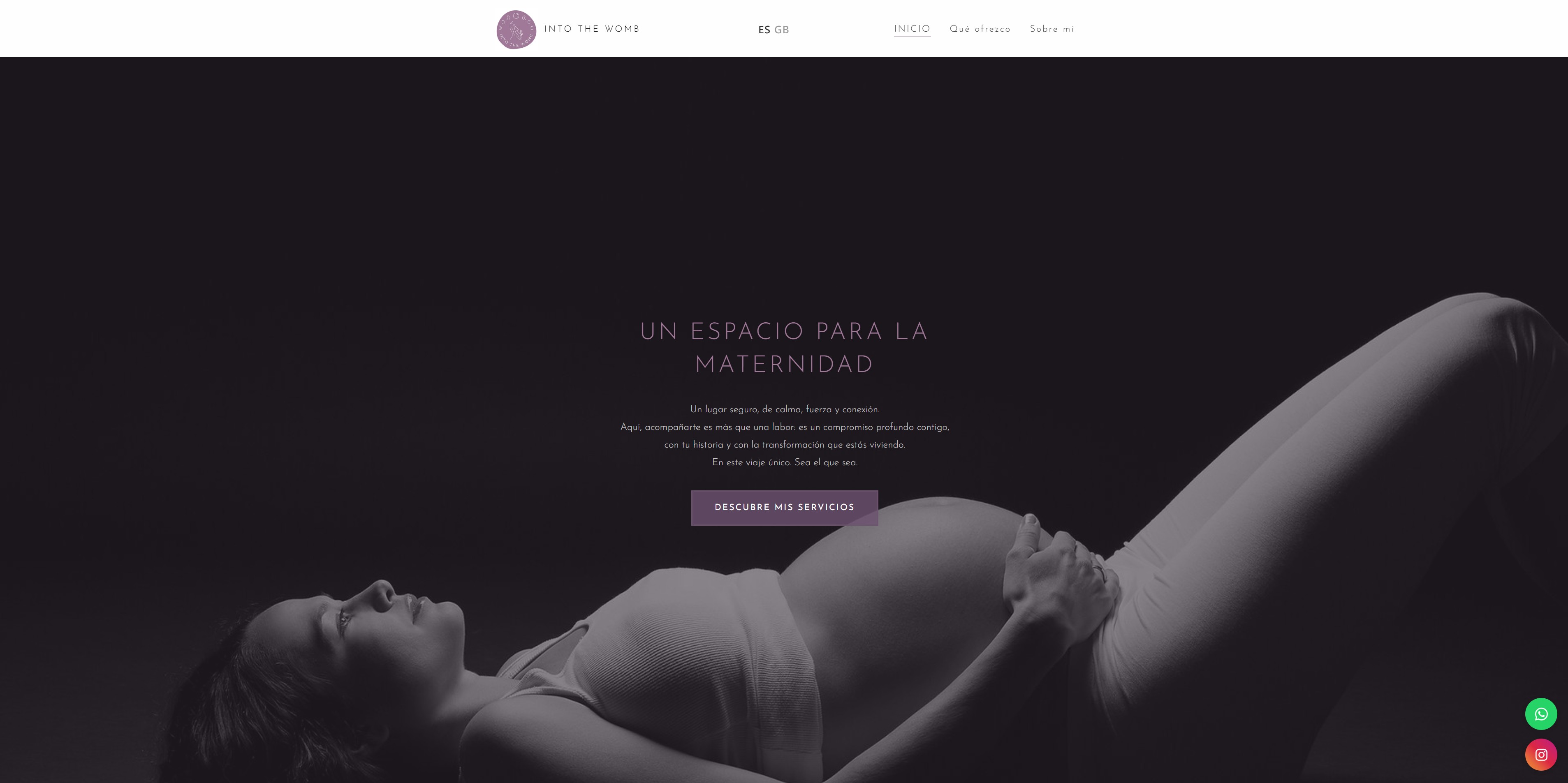 Into the Womb website screenshot