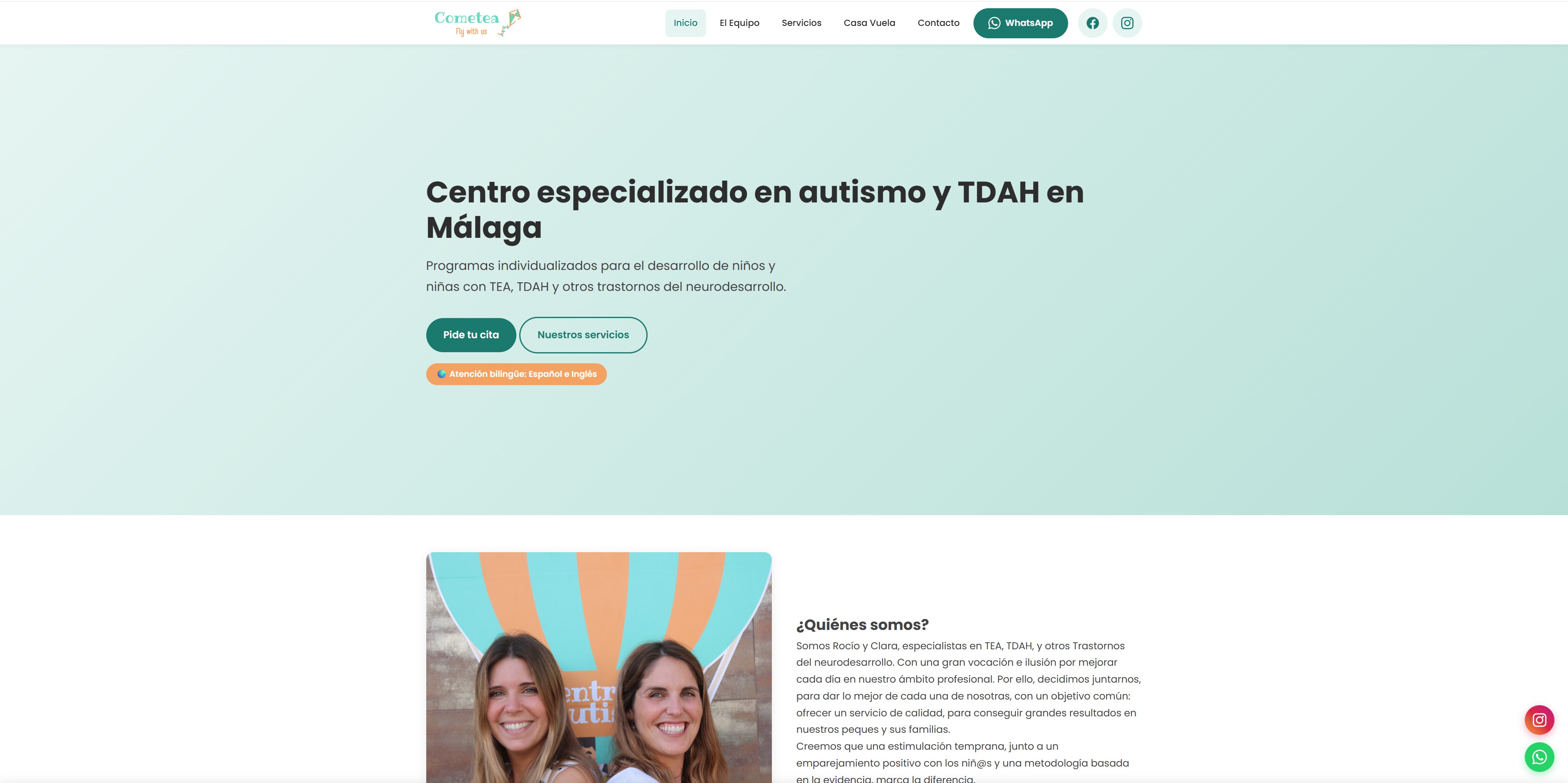 Screenshot of Centro Cometea Málaga website